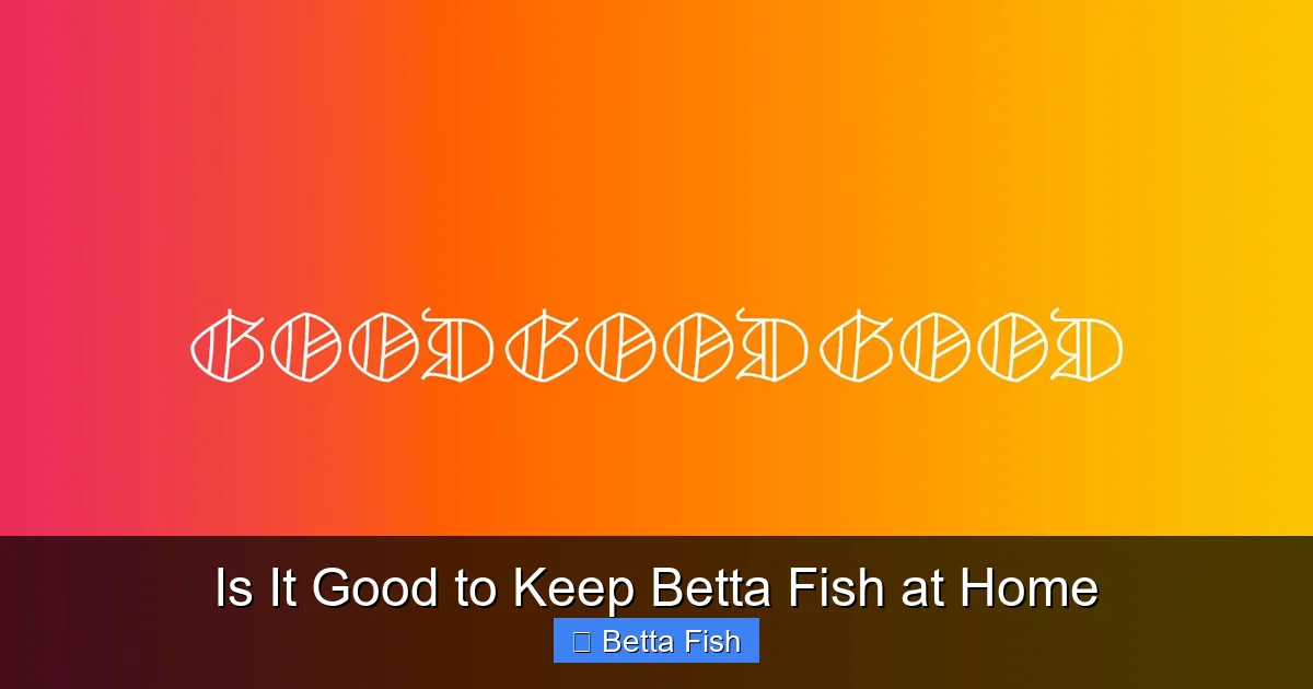 Is It Good to Keep Betta Fish at Home