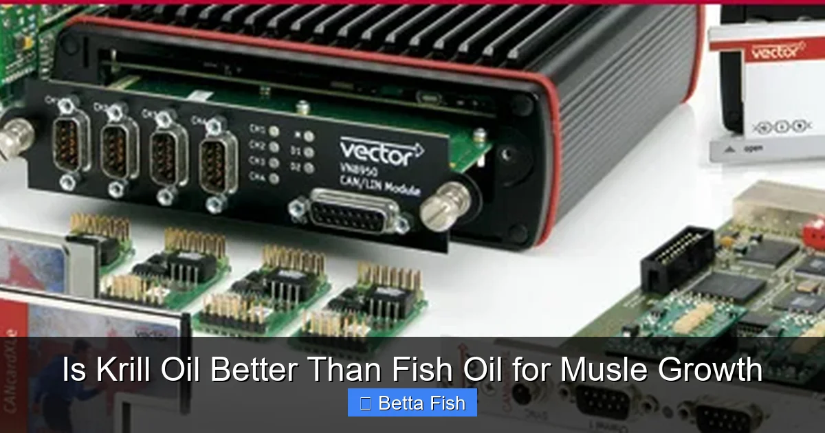 Is Krill Oil Better Than Fish Oil for Musle Growth