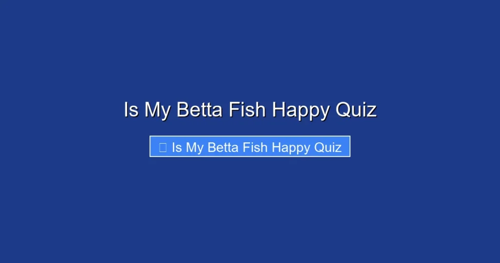 Is My Betta Fish Happy Quiz