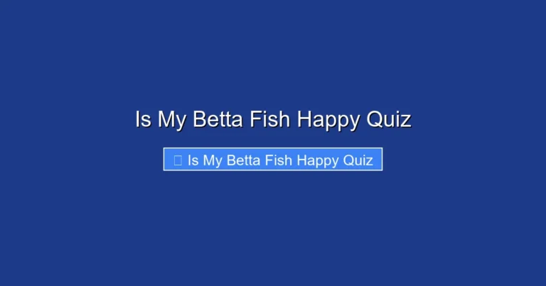 Is My Betta Fish Happy Quiz
