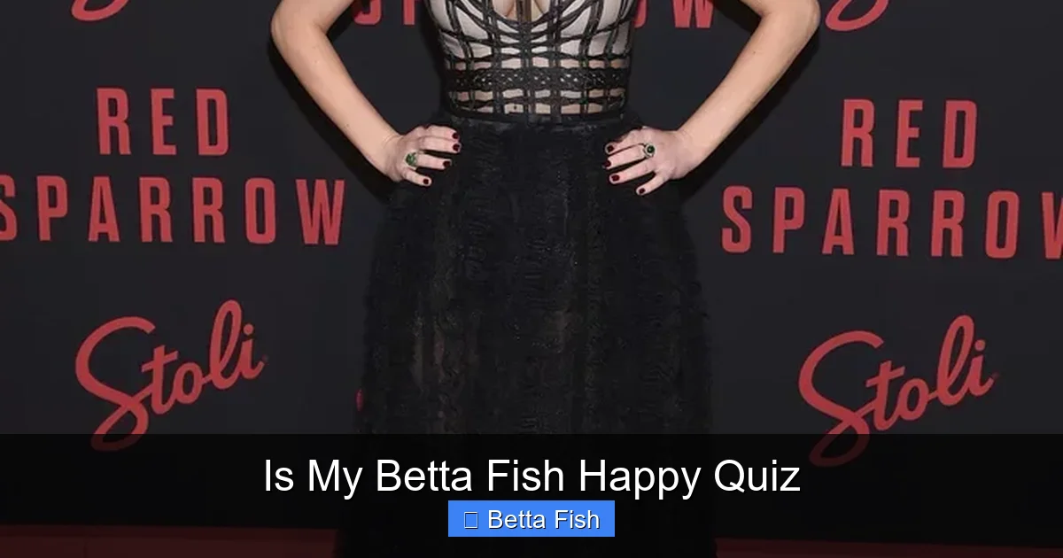 Is My Betta Fish Happy Quiz