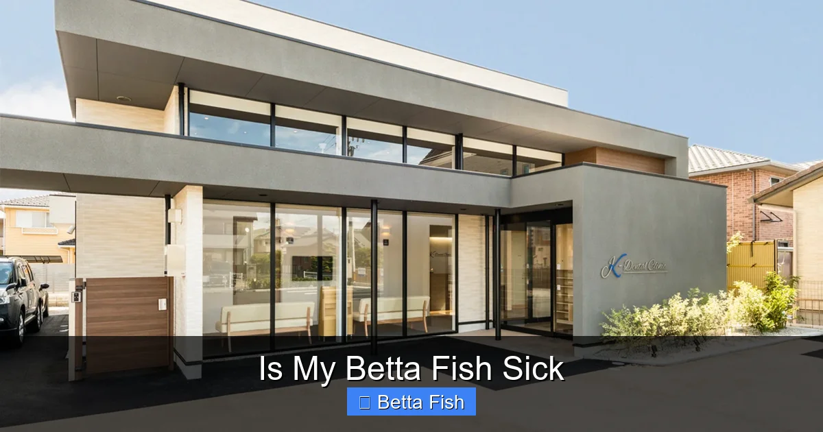 Is My Betta Fish Sick