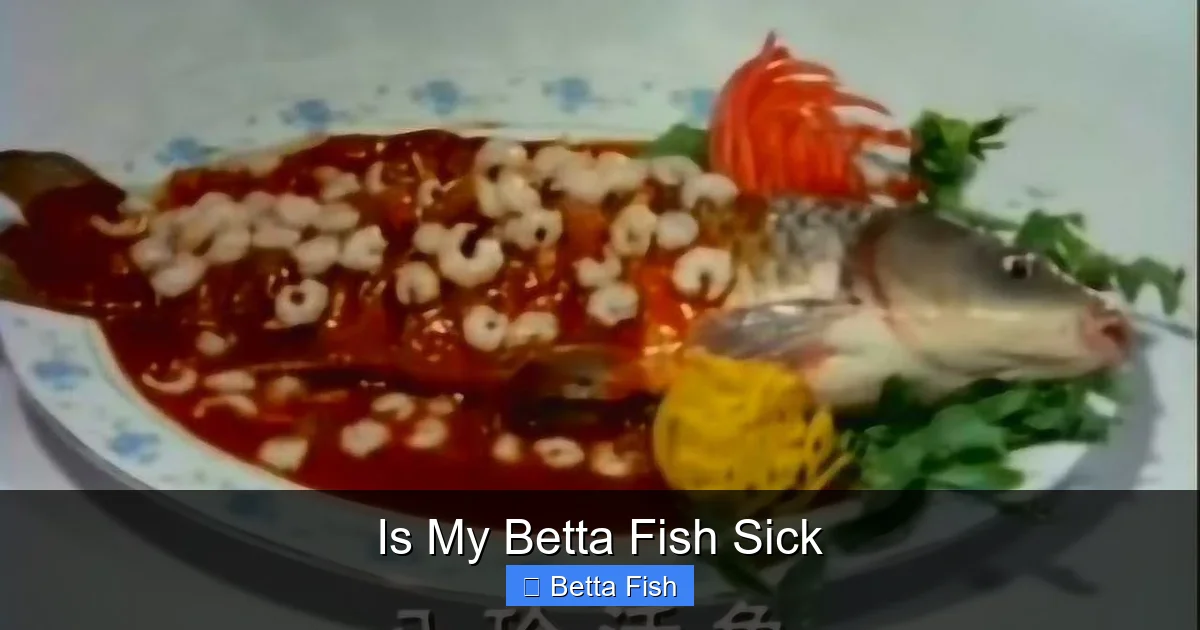 Is My Betta Fish Sick