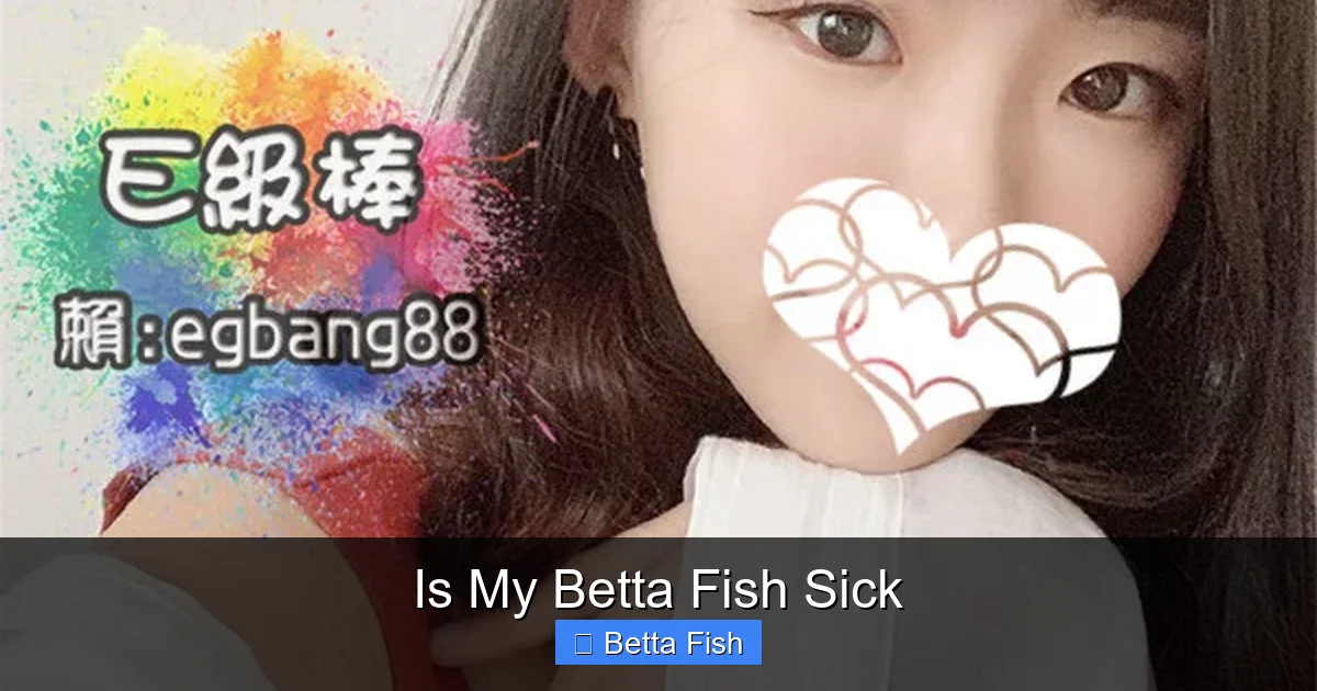 Is My Betta Fish Sick