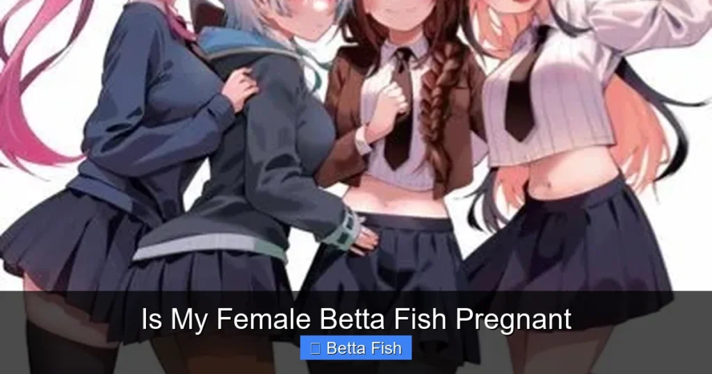 Is My Female Betta Fish Pregnant