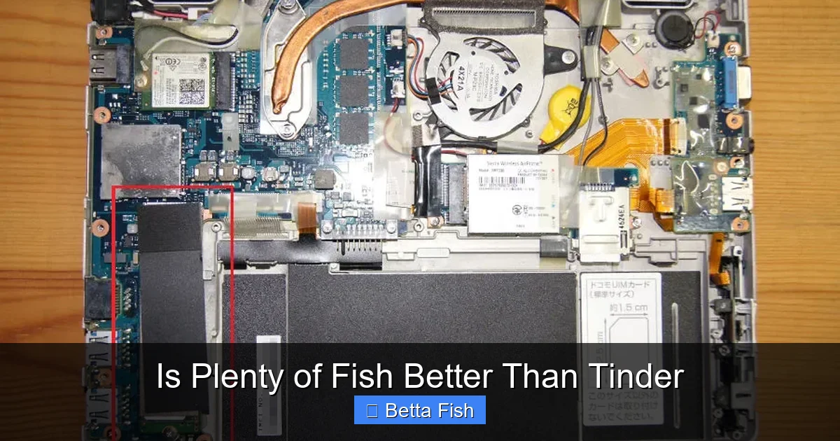 Is Plenty of Fish Better Than Tinder