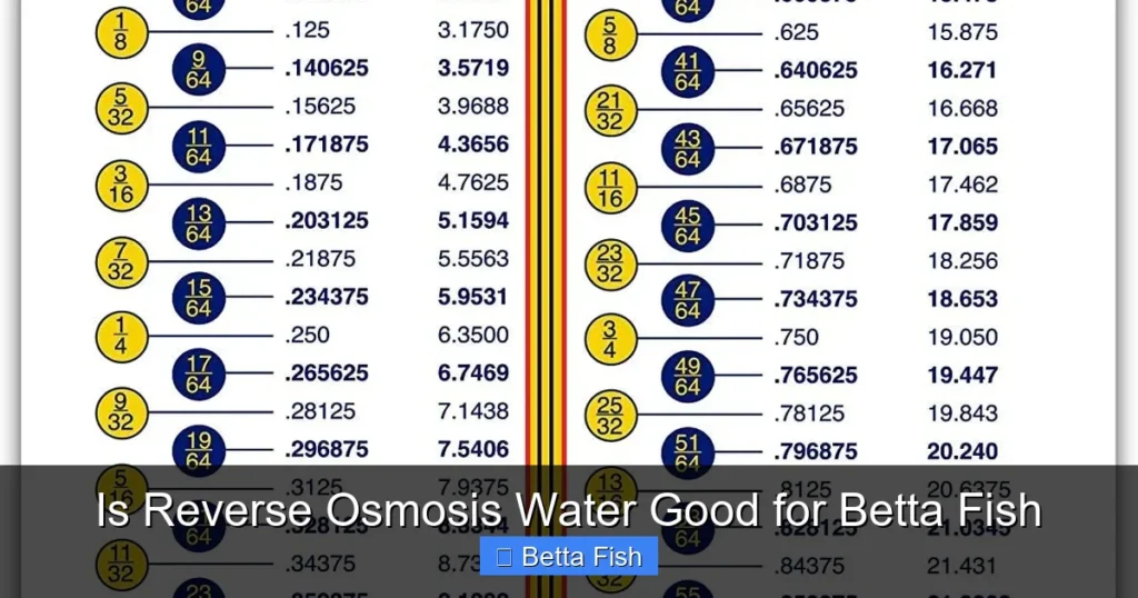 Is Reverse Osmosis Water Good for Betta Fish