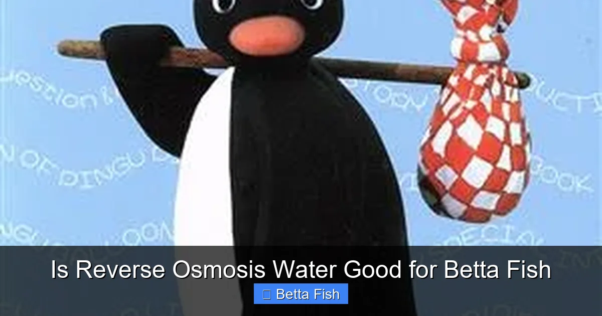 Is Reverse Osmosis Water Good for Betta Fish