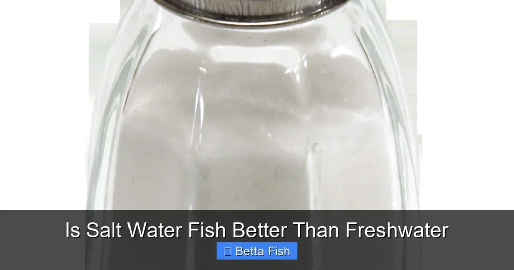 Is Salt Water Fish Better Than Freshwater