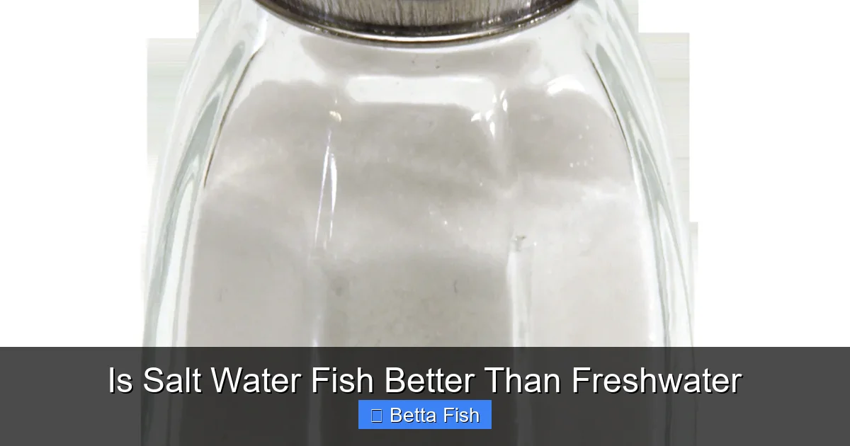Is Salt Water Fish Better Than Freshwater