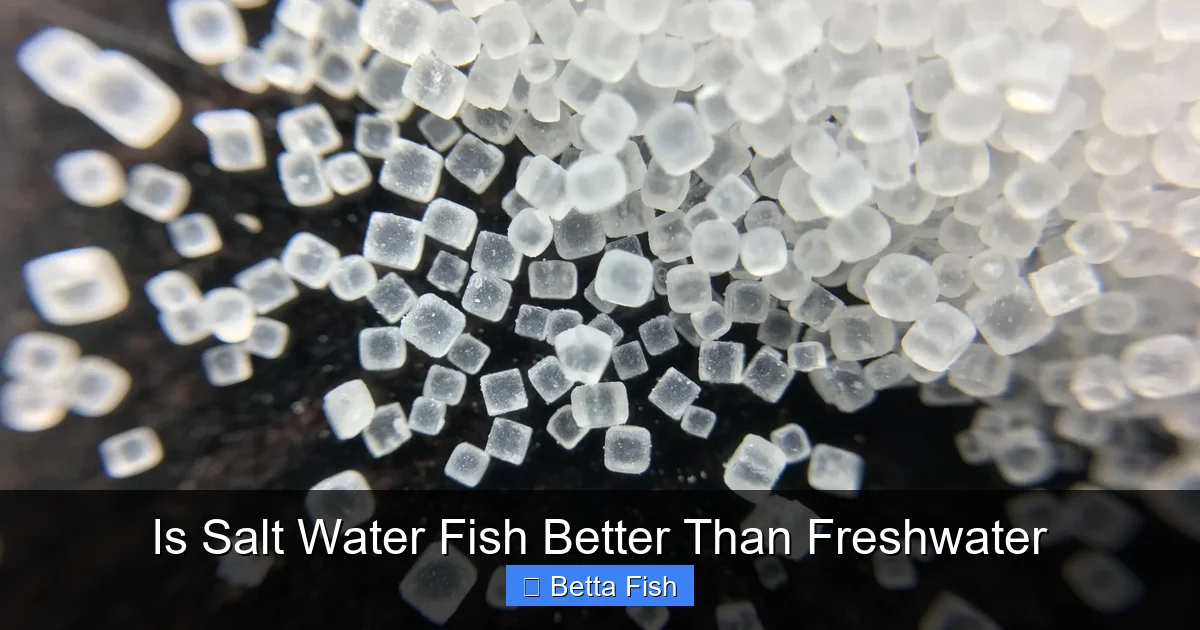 Is Salt Water Fish Better Than Freshwater