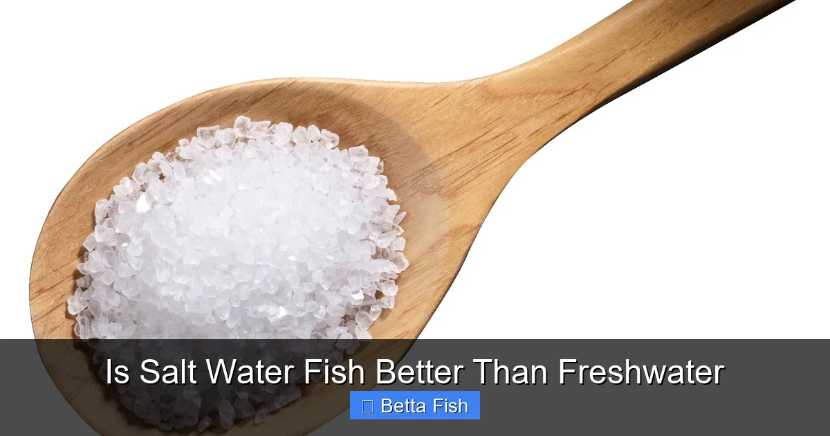 Is Salt Water Fish Better Than Freshwater