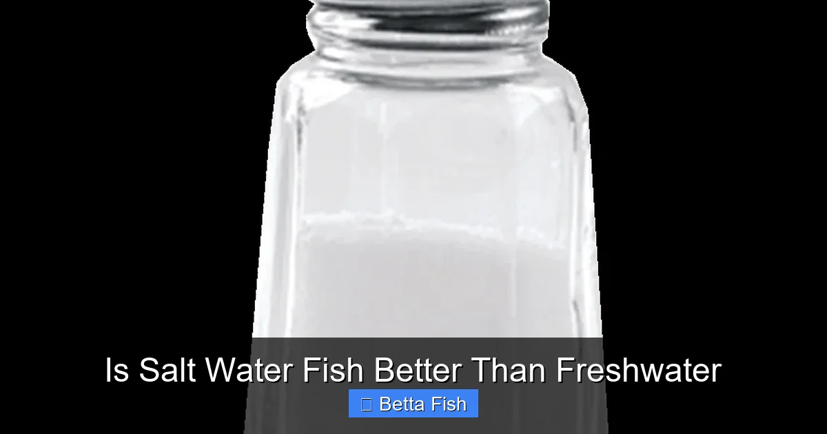 Is Salt Water Fish Better Than Freshwater