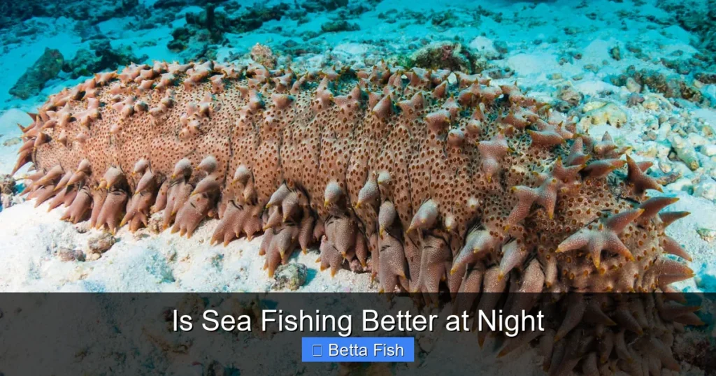 Is Sea Fishing Better at Night