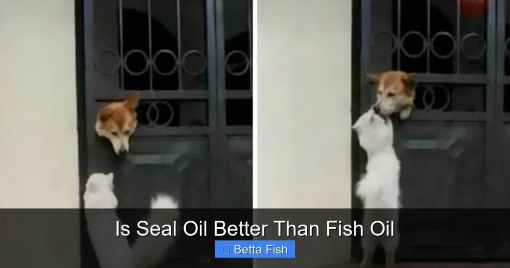 Is Seal Oil Better Than Fish Oil