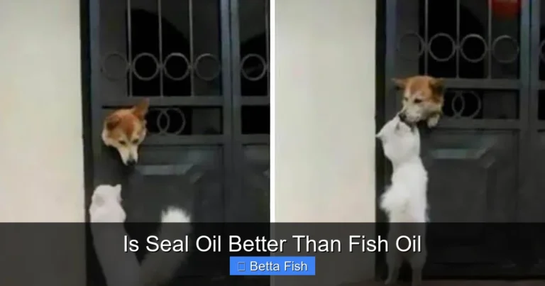 Is Seal Oil Better Than Fish Oil