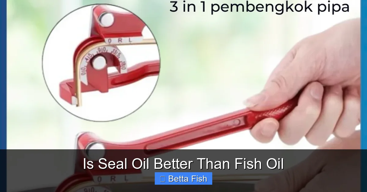 Is Seal Oil Better Than Fish Oil
