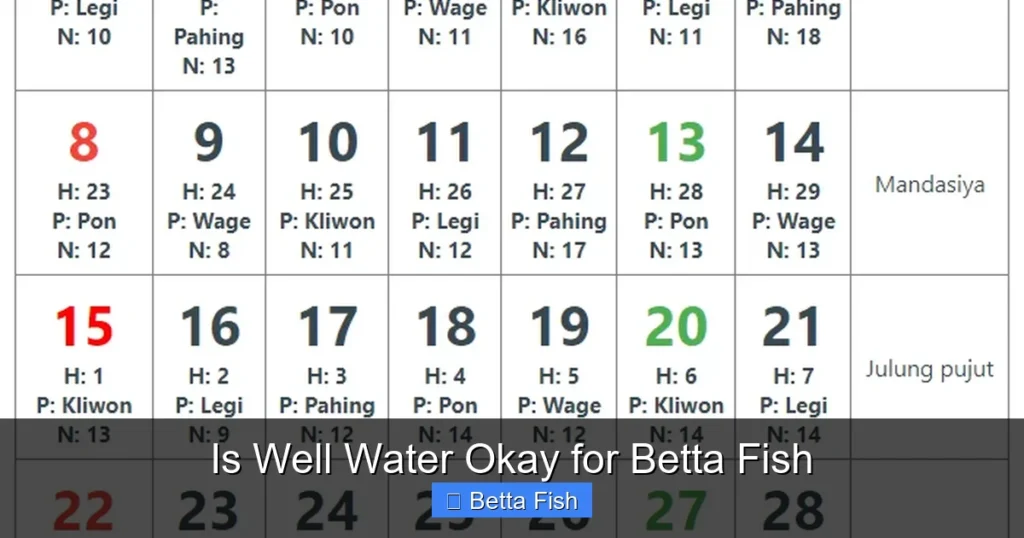 Is Well Water Okay for Betta Fish