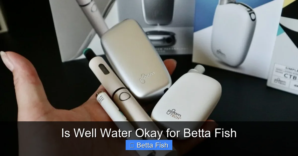 Is Well Water Okay for Betta Fish
