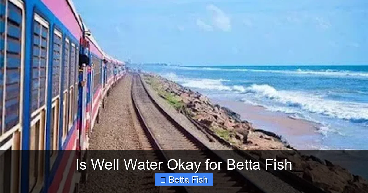 Is Well Water Okay for Betta Fish