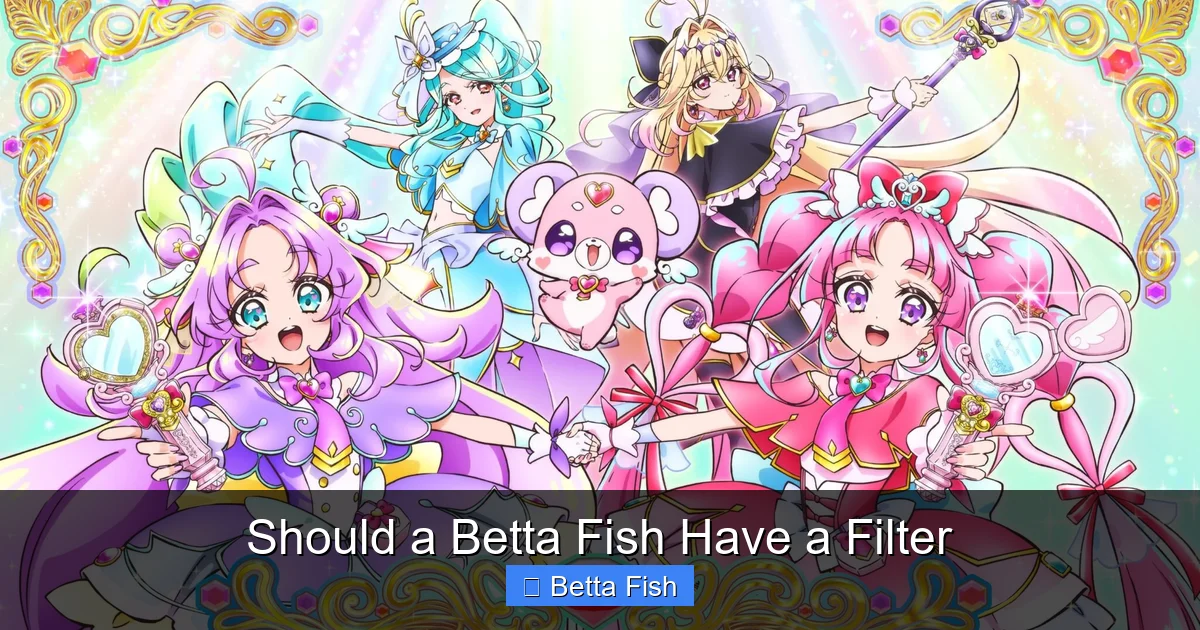 Should a Betta Fish Have a Filter