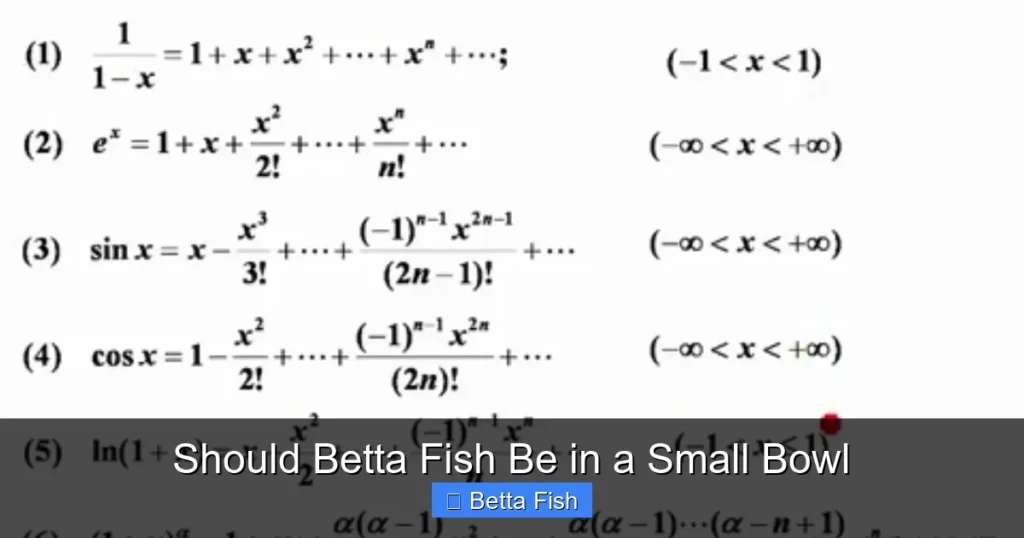 Should Betta Fish Be in a Small Bowl