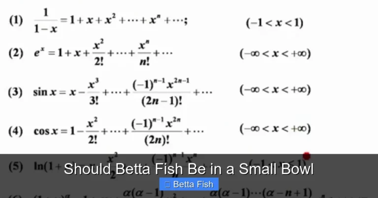 Should Betta Fish Be in a Small Bowl