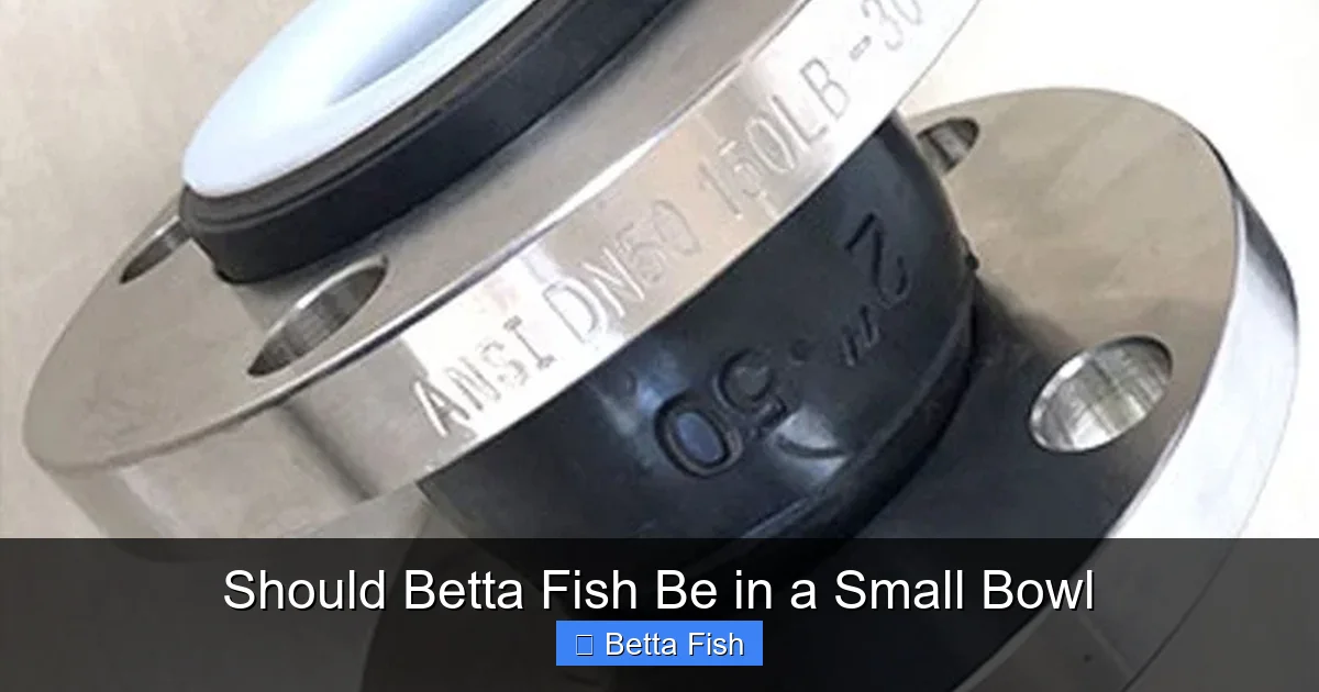 Should Betta Fish Be in a Small Bowl