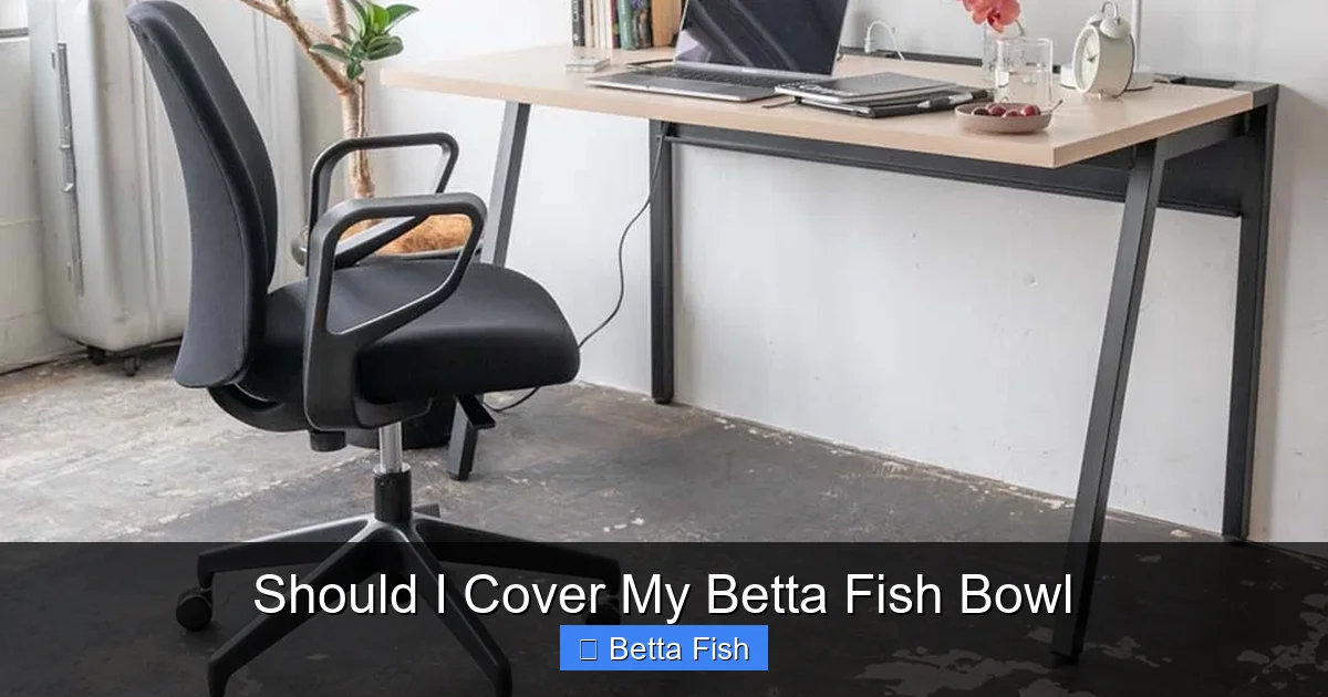 Should I Cover My Betta Fish Bowl