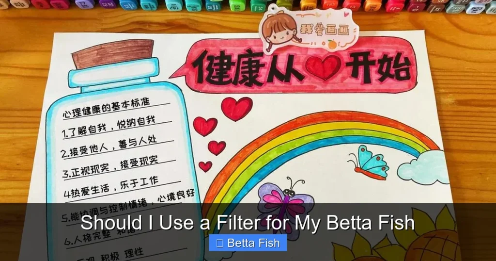 Should I Use a Filter for My Betta Fish