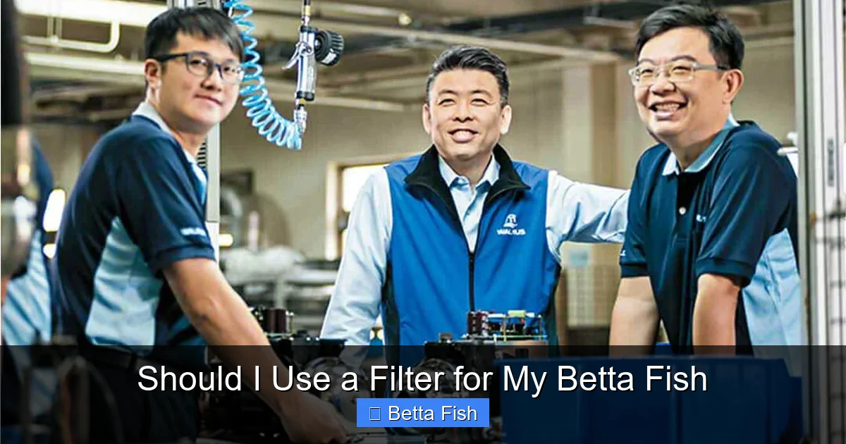 Should I Use a Filter for My Betta Fish