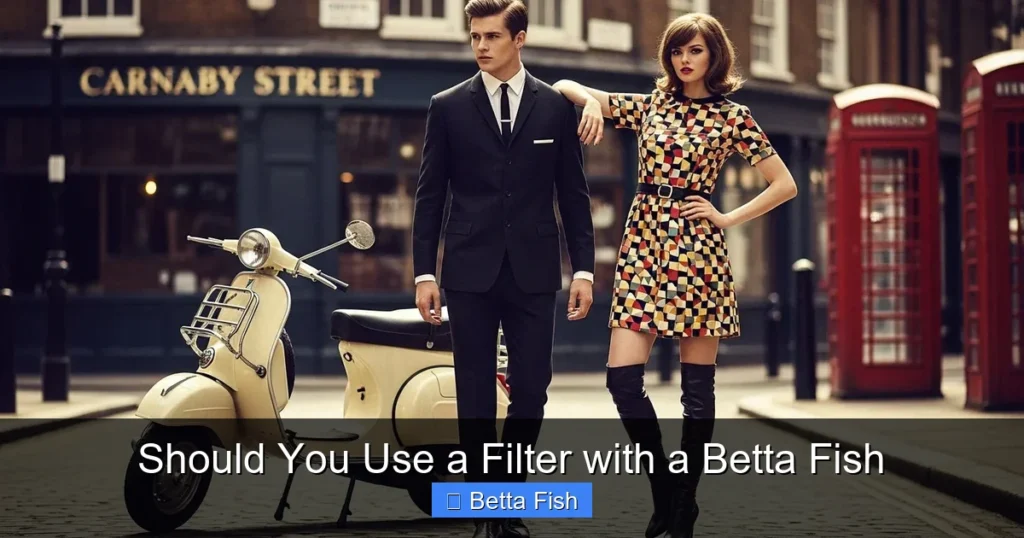 Should You Use a Filter with a Betta Fish