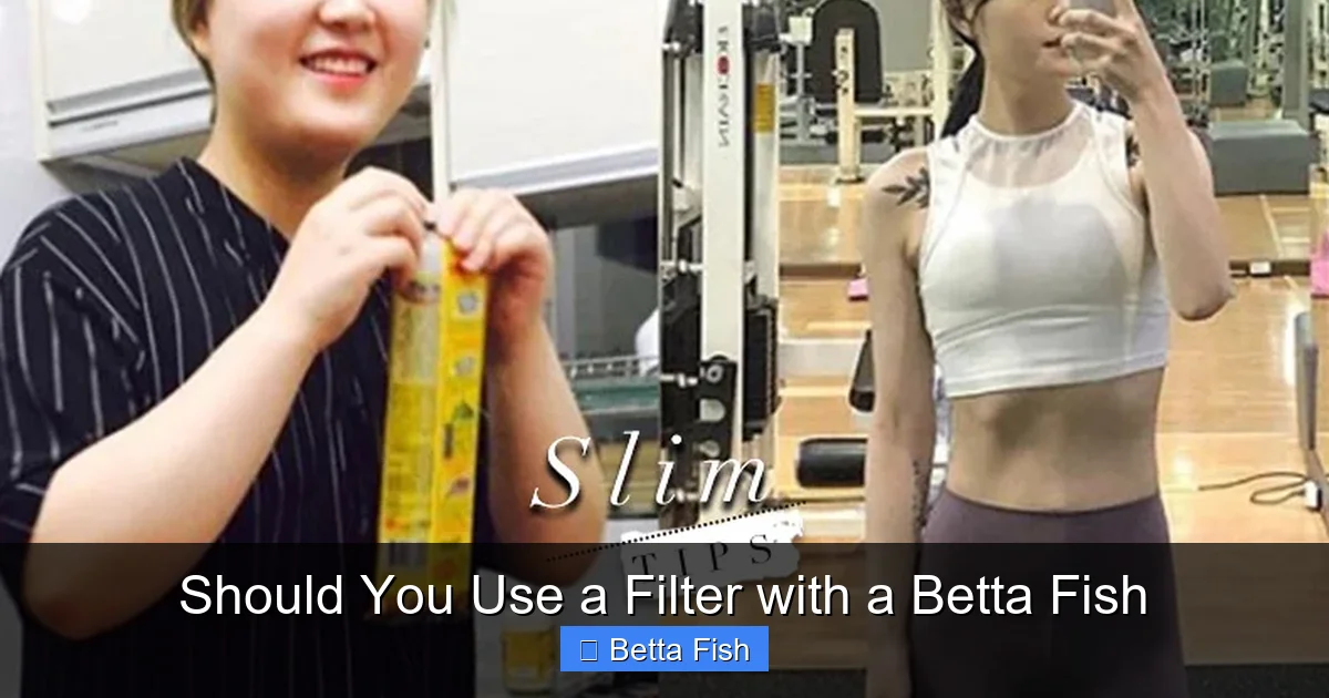 Should You Use a Filter with a Betta Fish
