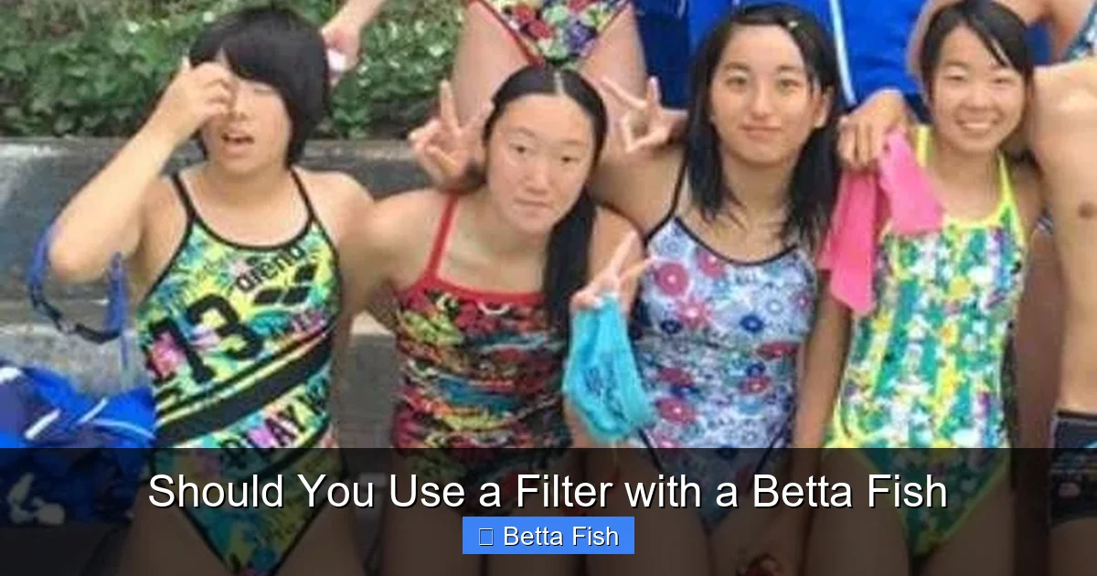 Should You Use a Filter with a Betta Fish