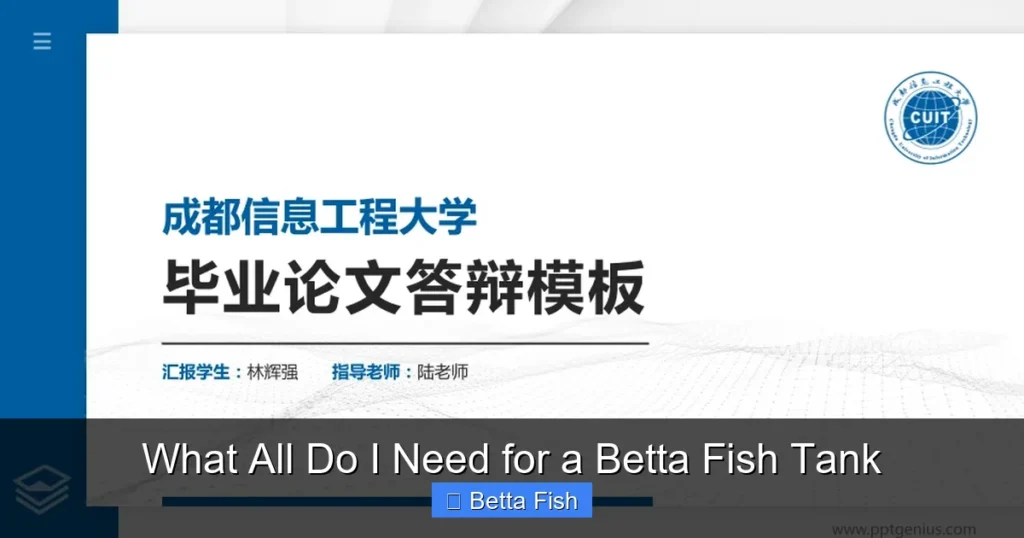 What All Do I Need for a Betta Fish Tank