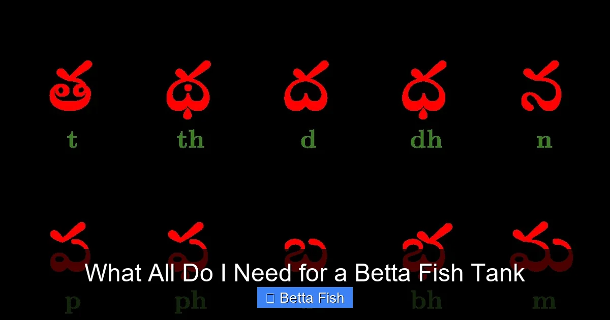 What All Do I Need for a Betta Fish Tank