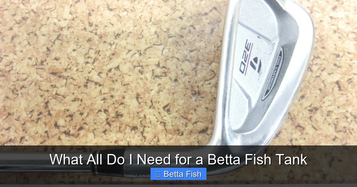 What All Do I Need for a Betta Fish Tank