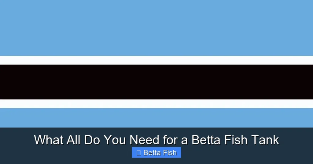 What All Do You Need for a Betta Fish Tank