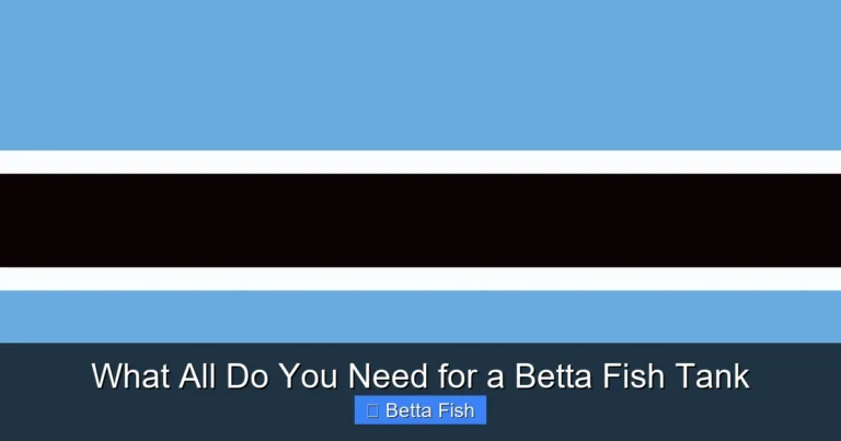 What All Do You Need for a Betta Fish Tank