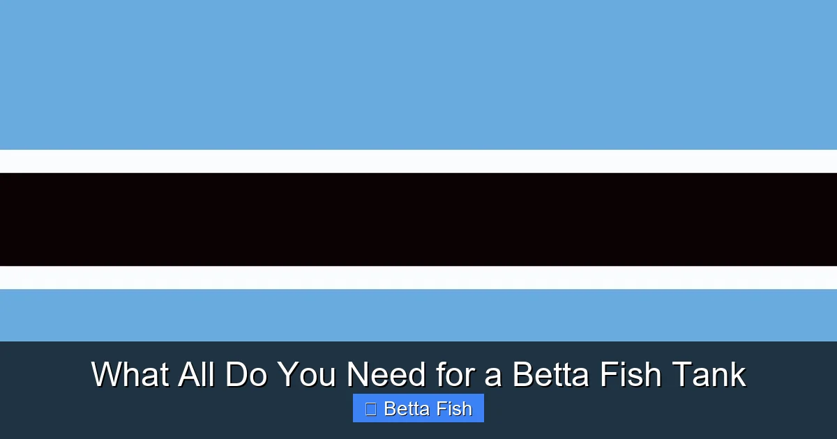 What All Do You Need for a Betta Fish Tank