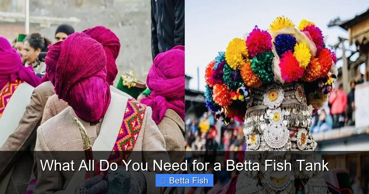 What All Do You Need for a Betta Fish Tank