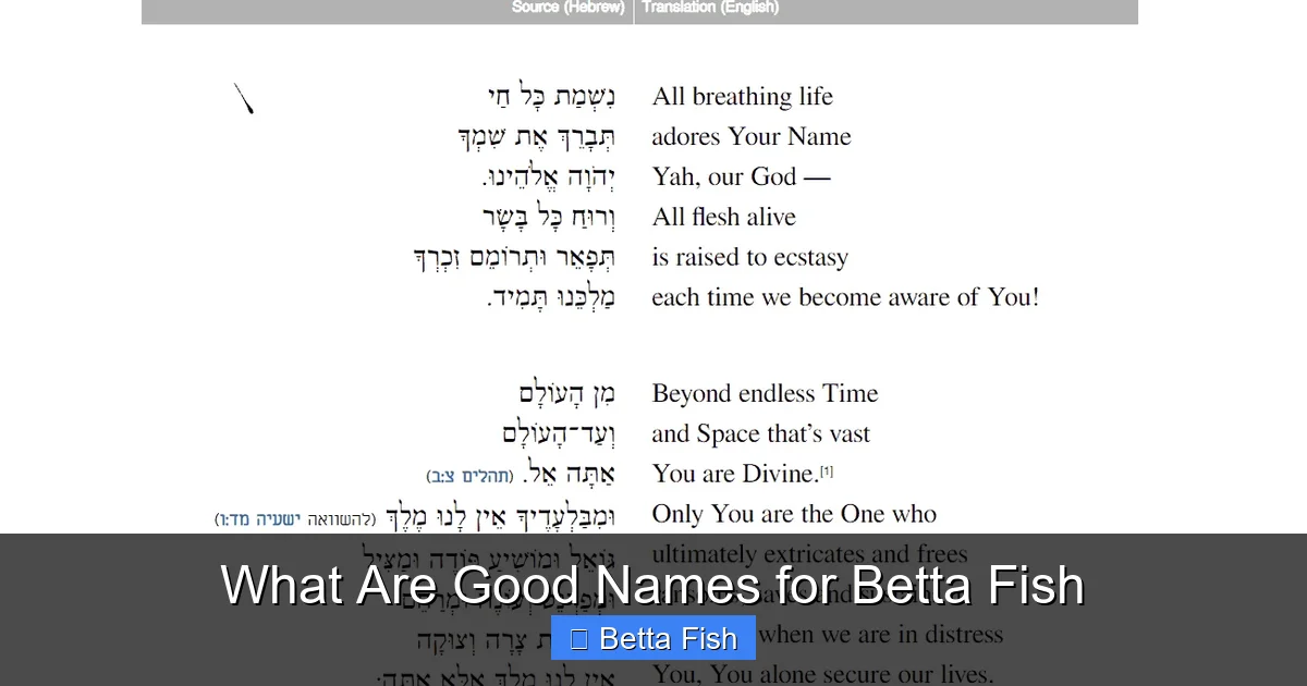 What Are Good Names for Betta Fish