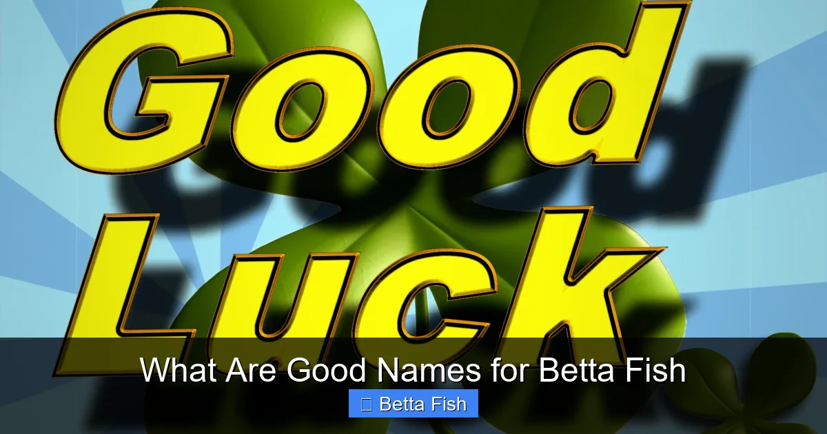 What Are Good Names for Betta Fish