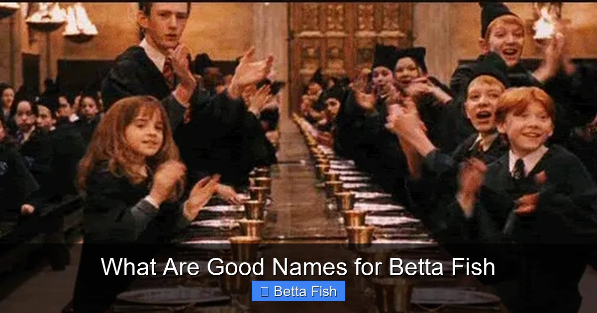 What Are Good Names for Betta Fish