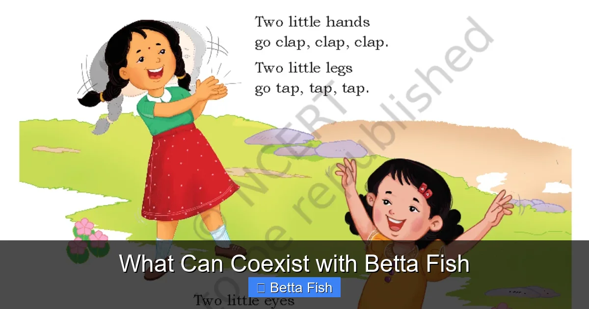 What Can Coexist with Betta Fish