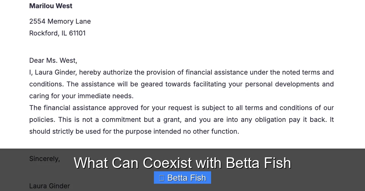 What Can Coexist with Betta Fish