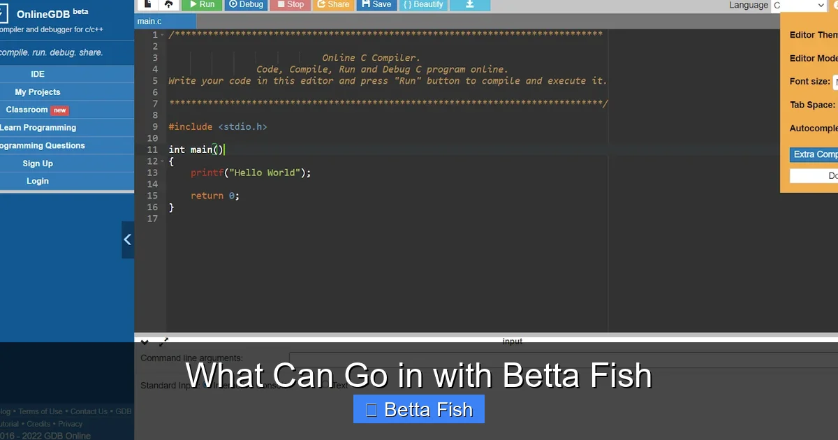 What Can Go in with Betta Fish