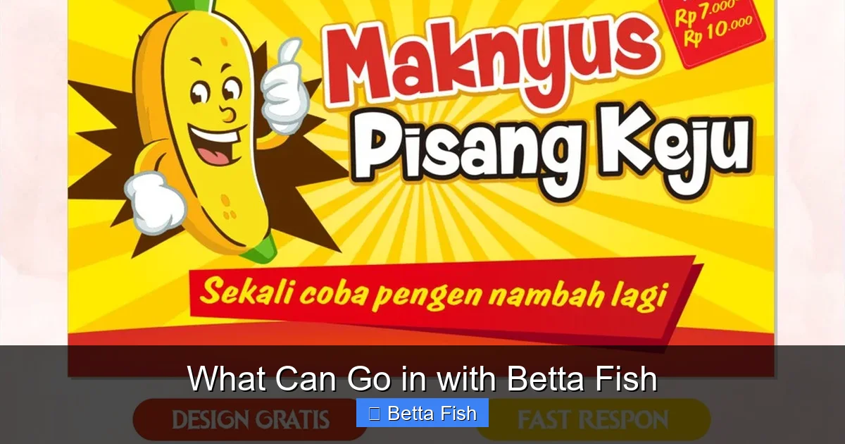 What Can Go in with Betta Fish