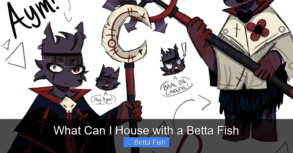 What Can I House with a Betta Fish