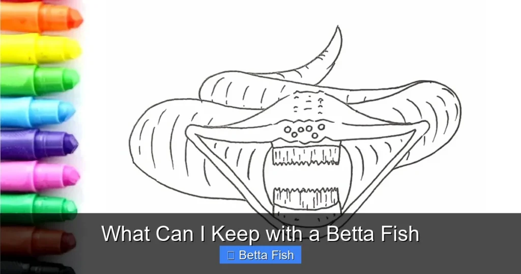 What Can I Keep with a Betta Fish